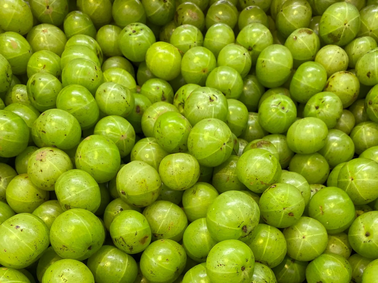 10 Best Ayurvedic Products For Winter Stay Warm And Healthy Naturally