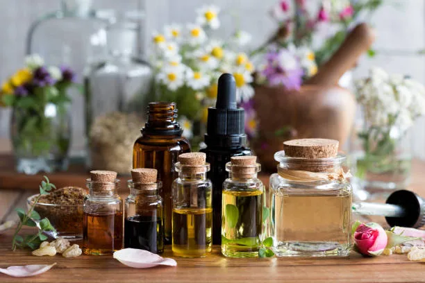 Top 5 Natural Ingredients for Anti-Aging Skincare 18 Top 5 Natural Ingredients for Anti-Aging Skincare
