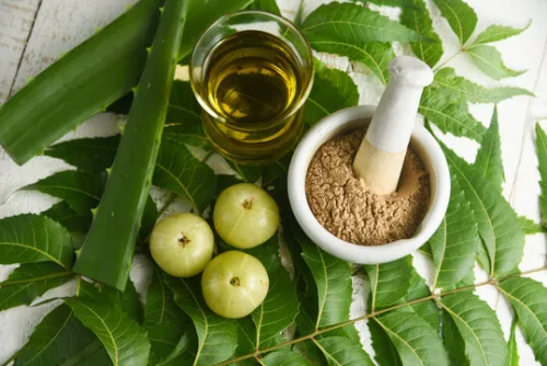 Advik Ayurveda Essential oils for hair growth
